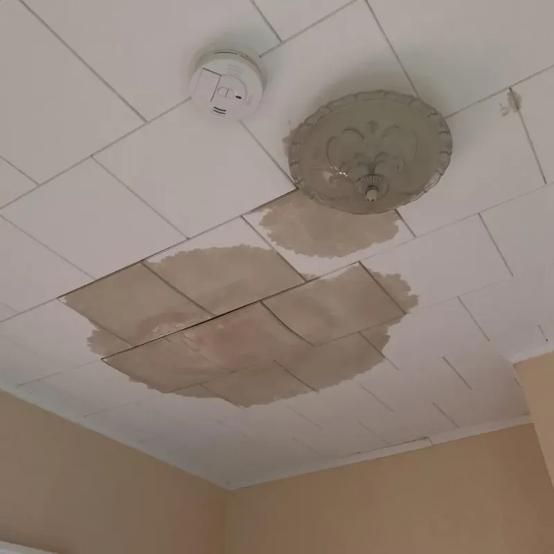 Ceiling Water Damage Repair in Rock County, MN